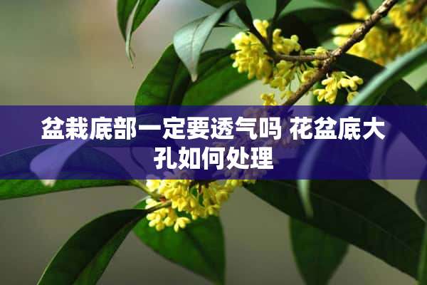 盆栽底部一定要透气吗 花盆底大孔如何处理