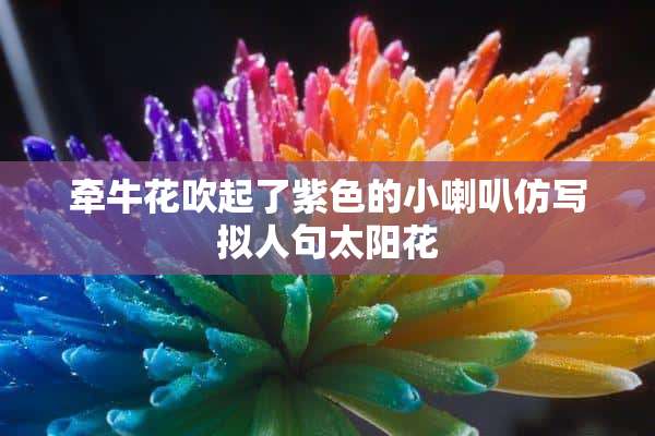 牵牛花吹起了紫色的小喇叭仿写拟人句太阳花