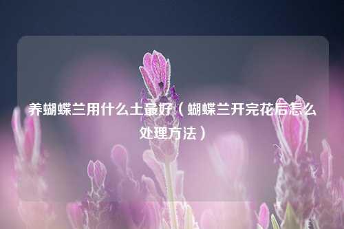 养蝴蝶兰用什么土最好（蝴蝶兰开完花后怎么处理方法） 花卉