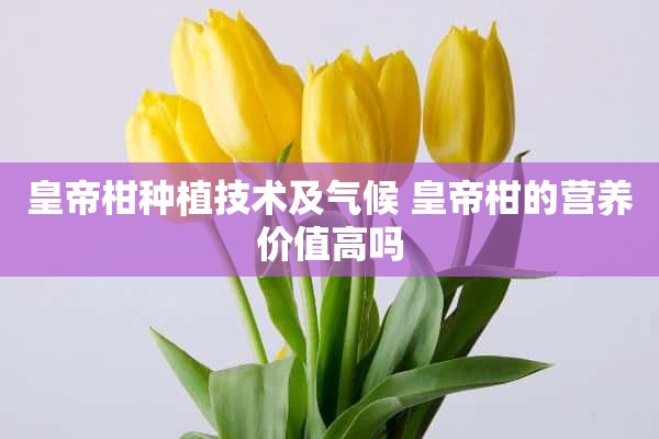 皇帝柑种植技术及气候 皇帝柑的营养价值高吗