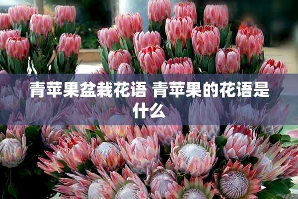 青苹果盆栽花语 青苹果的花语是什么