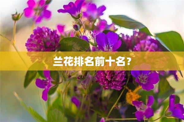 兰花排名前十名？