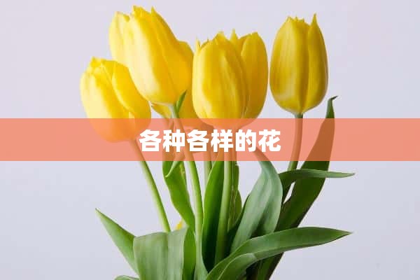 各种各样的花