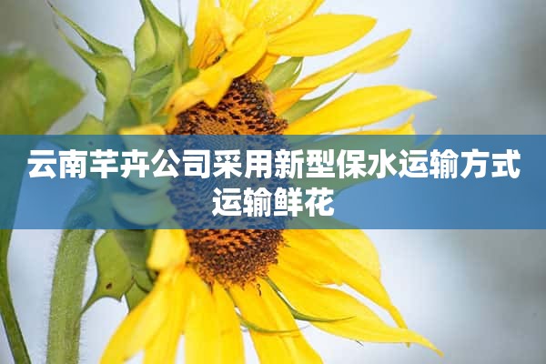 云南芊卉公司采用新型保水运输方式运输鲜花