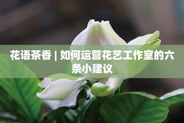 花语茶香 | 如何运营花艺工作室的六条小建议