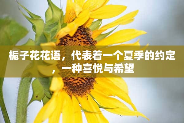 栀子花花语，代表着一个夏季的约定，一种喜悦与希望