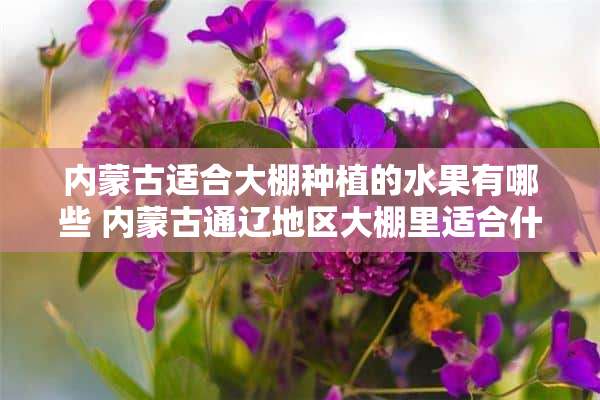 内蒙古适合大棚种植的水果有哪些 内蒙古通辽地区大棚里适合什么果树