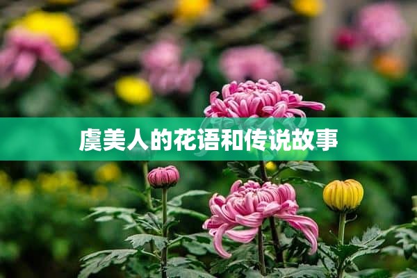 虞美人的花语和传说故事