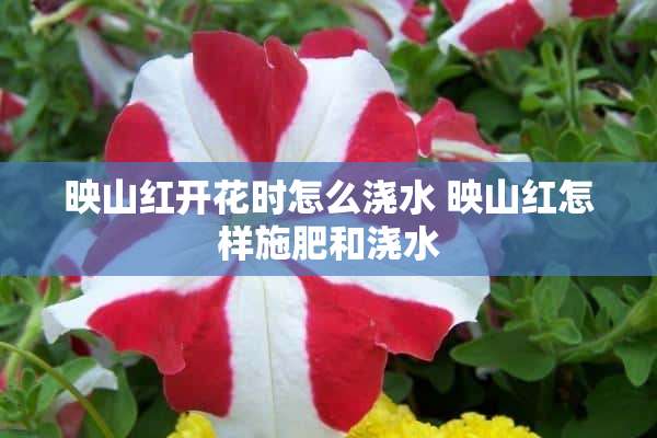 映山红开花时怎么浇水 映山红怎样施肥和浇水