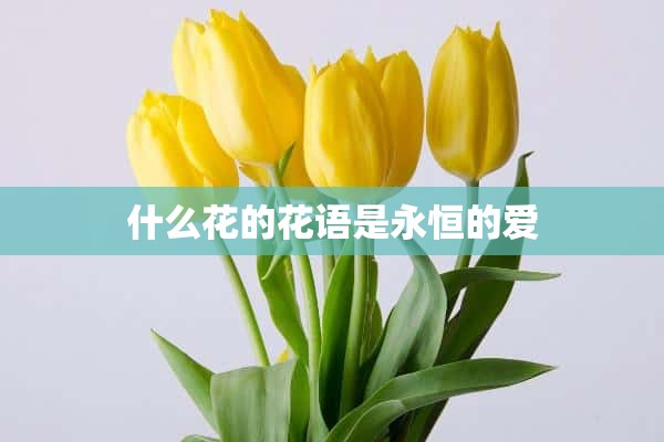 什么花的花语是永恒的爱