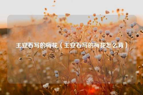 王安石写的梅花（王安石写的梅花怎么背） 花卉