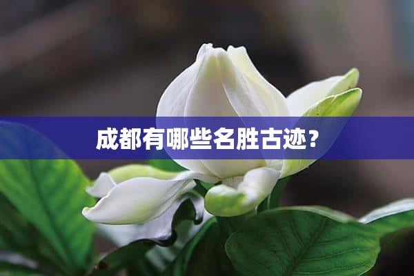 成都有哪些名胜古迹？