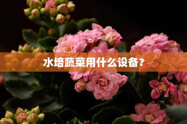 水培蔬菜用什么设备？