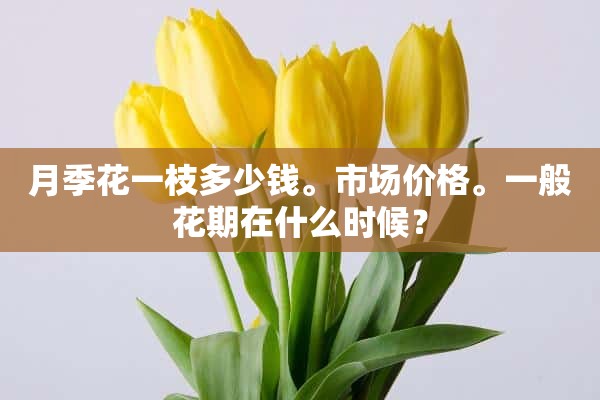 月季花一枝多少钱。市场价格。一般花期在什么时候？