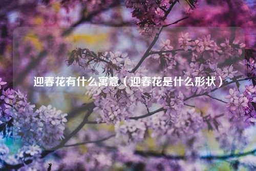 迎春花有什么寓意（迎春花是什么形状）