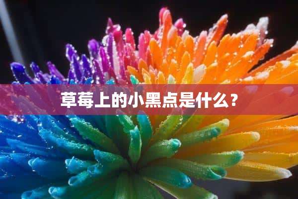 草莓上的小黑点是什么？