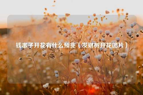 钱串子开花有什么预兆（发财树开花图片）