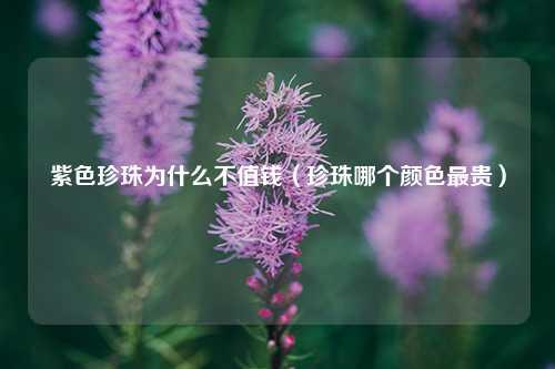 紫色珍珠为什么不值钱（珍珠哪个颜色最贵） 花卉