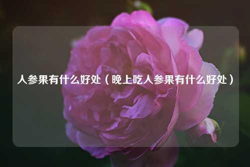 人参果有什么好处（晚上吃人参果有什么好处） 花卉