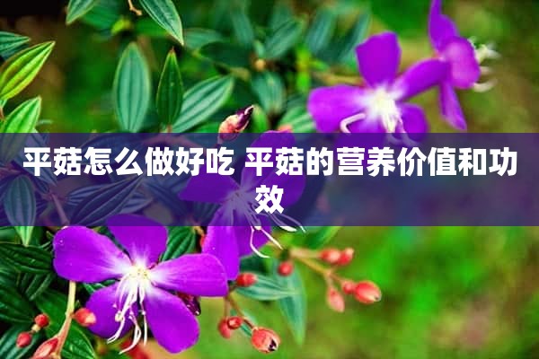 平菇怎么做好吃 平菇的营养价值和功效