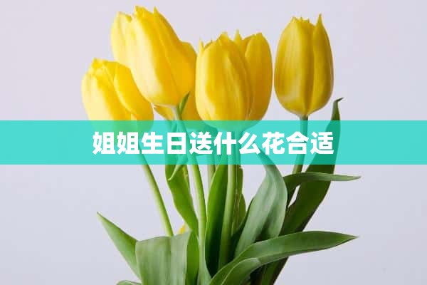 姐姐生日送什么花合适