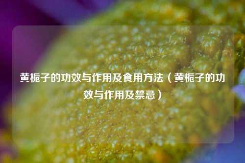 黄栀子的功效与作用及食用方法（黄栀子的功效与作用及禁忌） 花卉