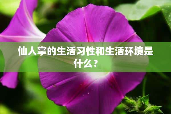 仙人掌的生活习性和生活环境是什么？