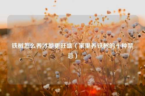 铁树怎么养才能更旺盛（家里养铁树的十种禁忌） 花卉