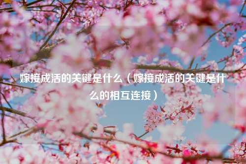 嫁接成活的关键是什么（嫁接成活的关键是什么的相互连接） 花卉