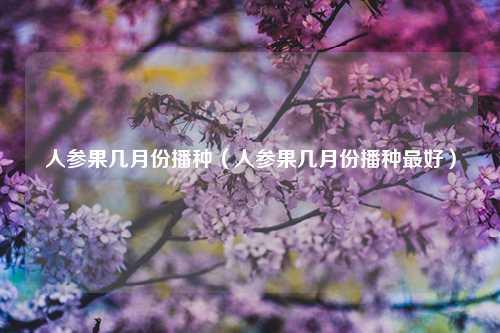 人参果几月份播种（人参果几月份播种最好） 花卉