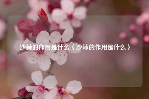 沙棘的作用是什么（沙棘的作用是什么） 花卉