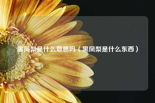 黑凤梨是什么意思吗（黑凤梨是什么东西） 花卉