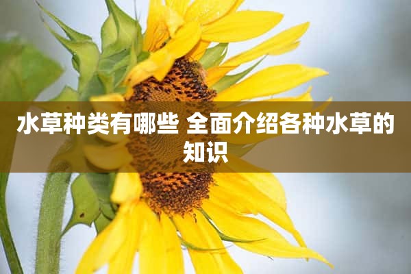 水草种类有哪些 全面介绍各种水草的知识