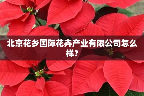 北京花乡国际花卉产业有限公司怎么样？