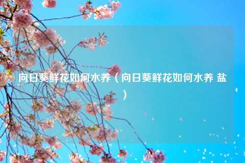 向日葵鲜花如何水养（向日葵鲜花如何水养 盐） 花卉