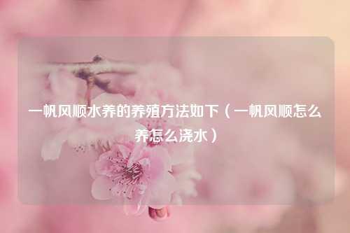 一帆风顺水养的养殖方法如下（一帆风顺怎么养怎么浇水） 花卉