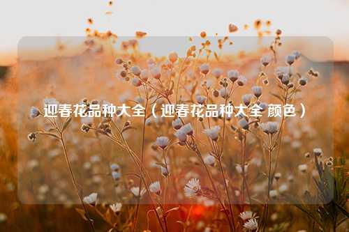 迎春花品种大全（迎春花品种大全 颜色）