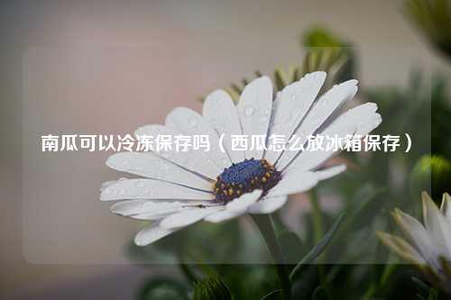 南瓜可以冷冻保存吗（西瓜怎么放冰箱保存） 花卉