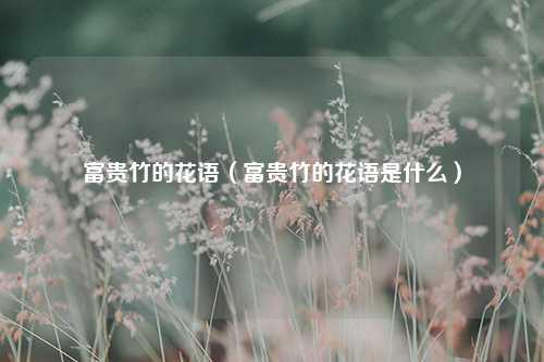 富贵竹的花语（富贵竹的花语是什么） 花卉