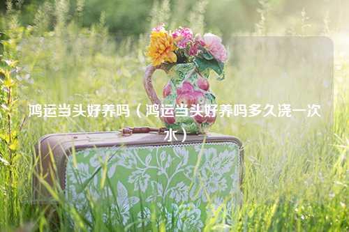 鸿运当头好养吗（鸿运当头好养吗多久浇一次水） 花卉