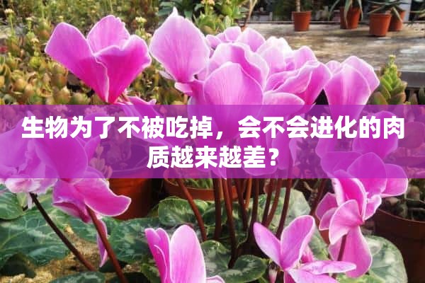 生物为了不被吃掉，会不会进化的肉质越来越差？