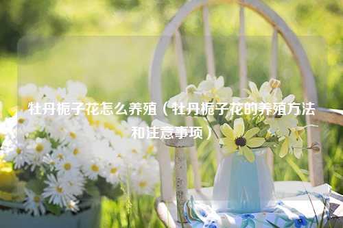 牡丹栀子花怎么养殖（牡丹栀子花的养殖方法和注意事项） 花卉