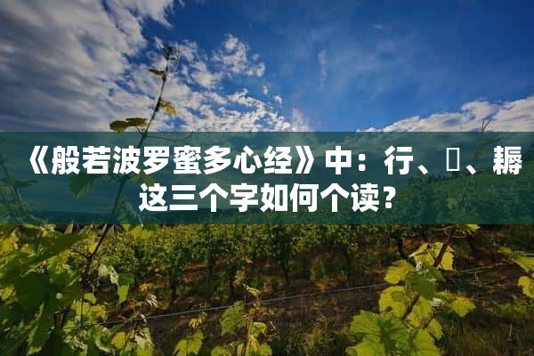 《般若波罗蜜多心经》中：行、埵、耨这三个字如何个读？