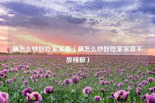 藕怎么炒好吃家常菜（藕怎么炒好吃家常菜不放辣椒） 花卉