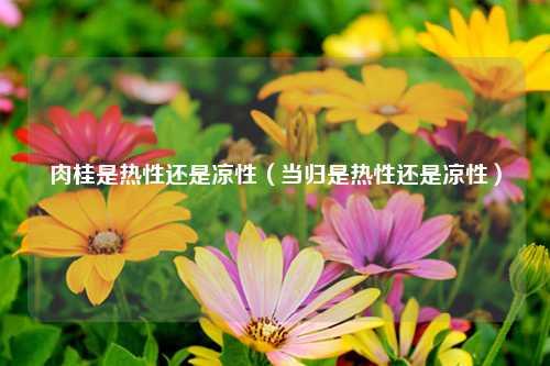 肉桂是热性还是凉性（当归是热性还是凉性） 花卉