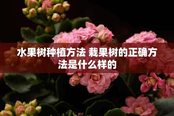 水果树种植方法 栽果树的正确方法是什么样的