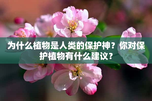 为什么植物是人类的保护神？你对保护植物有什么建议？