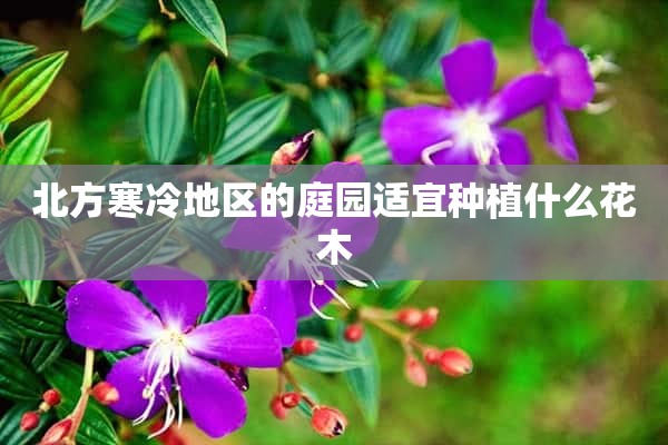 北方寒冷地区的庭园适宜种植什么花木