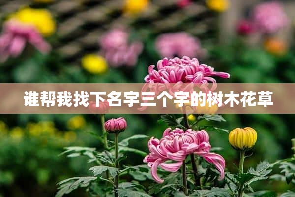 谁帮我找下名字三个字的树木花草