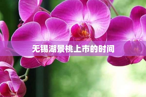 一帆风顺怎么养才能更旺盛(养植一帆风顺，叶子发黄怎么办？教你一招，叶片翠绿，花朵洁白) 花卉 第11张